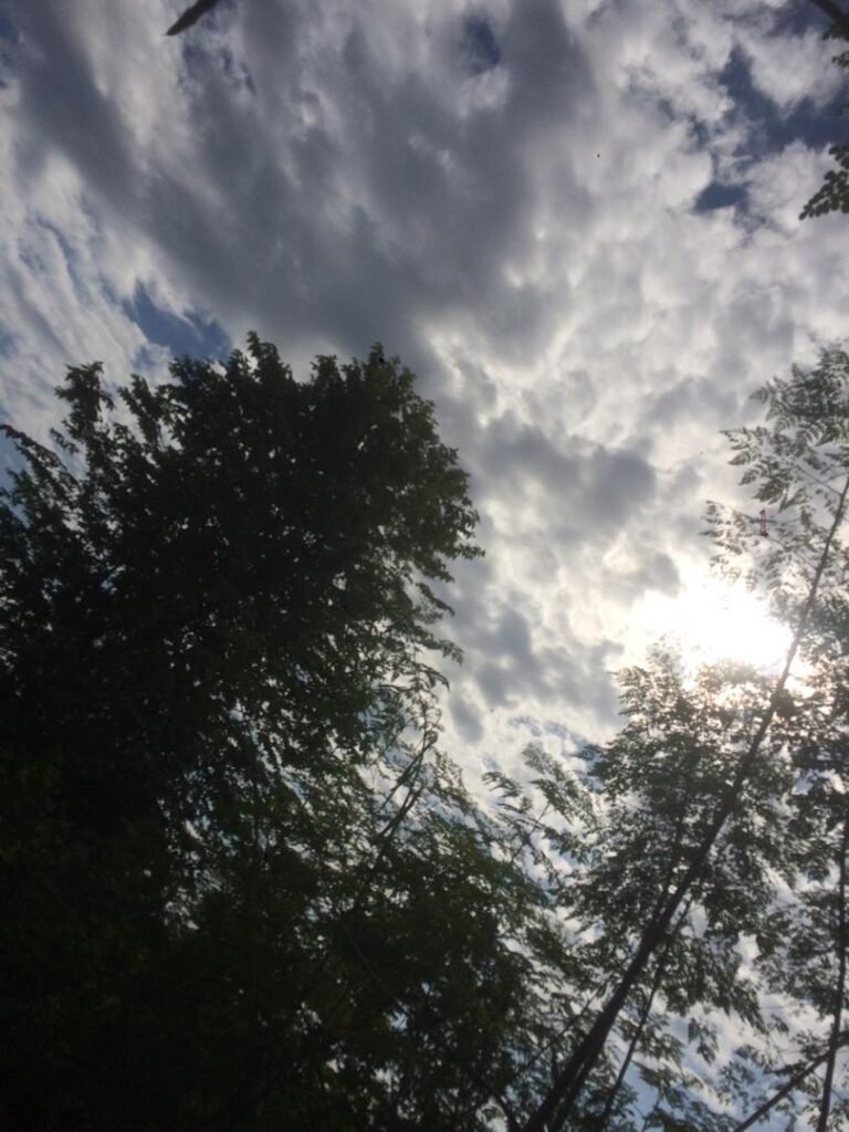 Img 20200830 wa0022