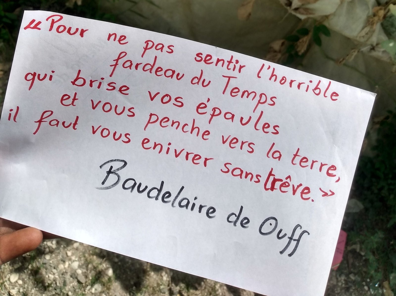 Img 20220515 104747975 hdr 1 scaled